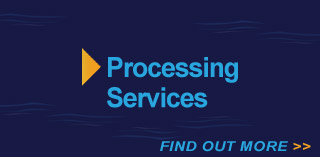 services-processing-services
